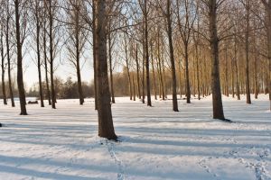 image courtesy stock.xchng