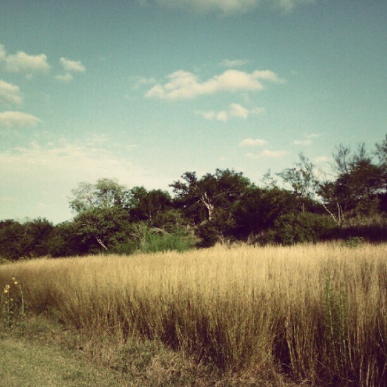 photo courtesy of Joel Brotzman