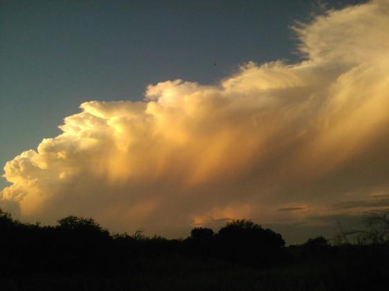 photo courtesy of Joel Brotzman