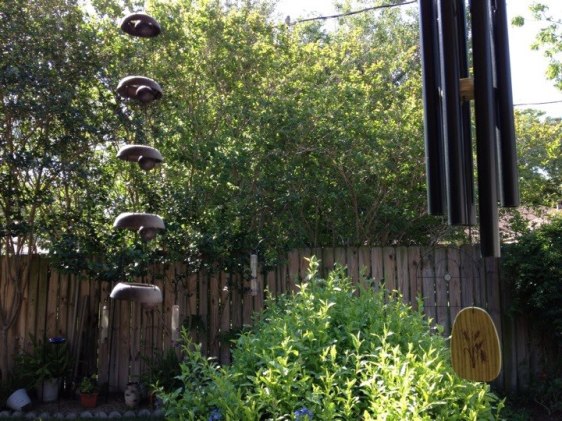 942925_509436185772264_1844997148_n