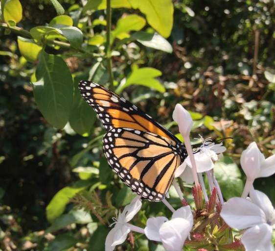 photo by Rebekah Choat