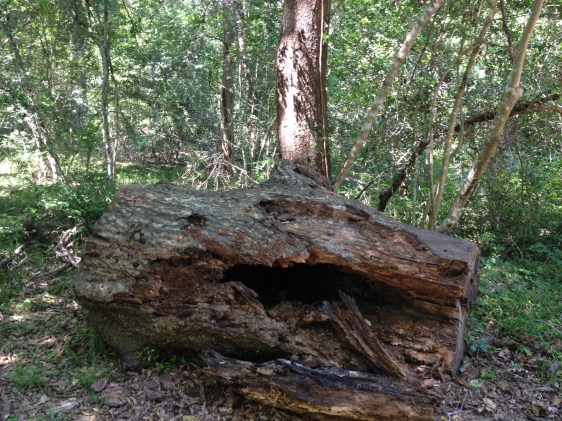 photo by Rebekah Choat