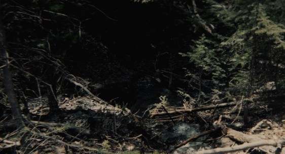 photo by Rebekah Choat