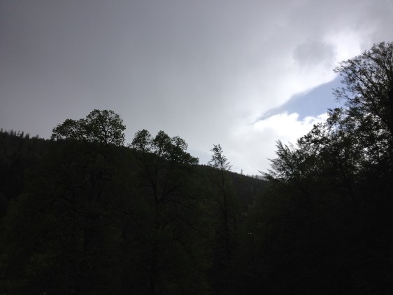 photo by Chris Choat