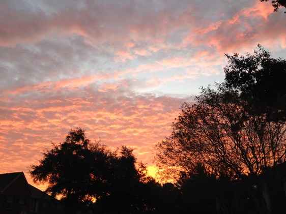 image by Rebekah Choat