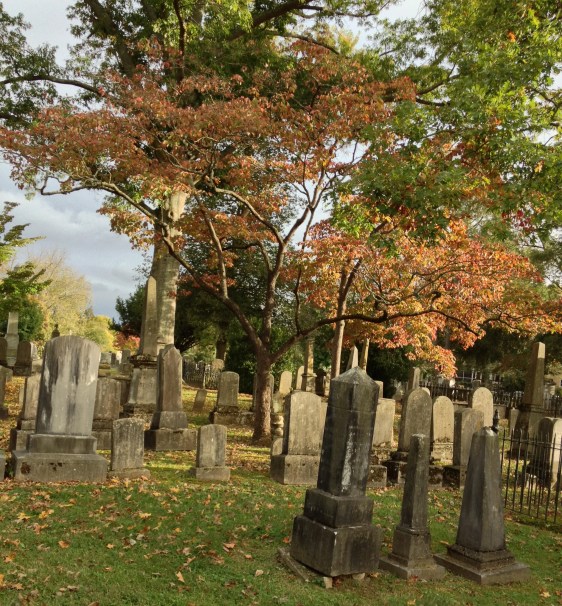 image by Rebekah Choat