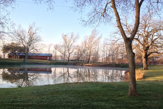 image by Rebekah Choat 