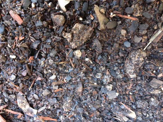 image by Rebekah Choat