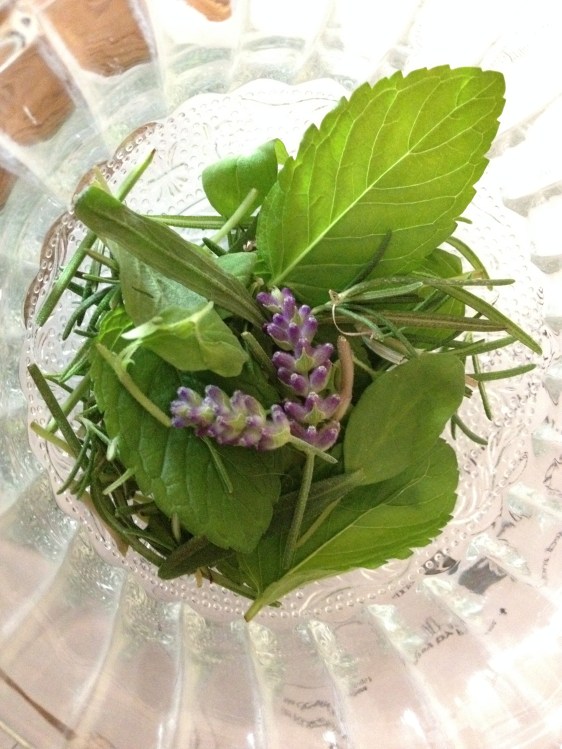 image by Rebekah Choat