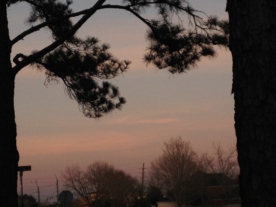 image by Rebekah Choat