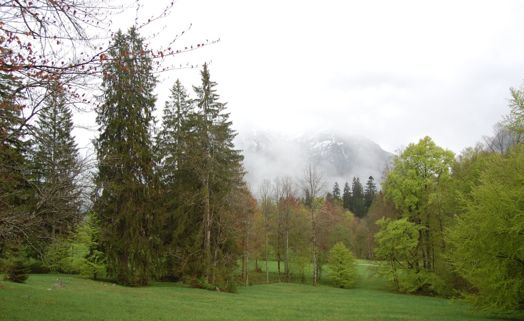 image by Chris Choat 