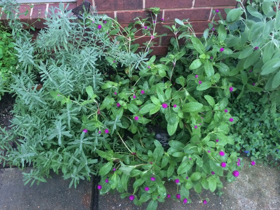 image by Rebekah Choat