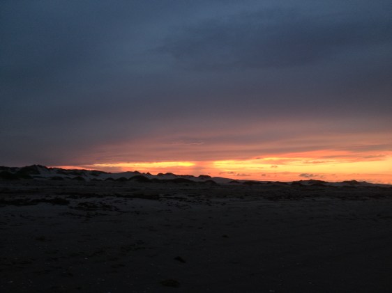 image by Rebekah Choat