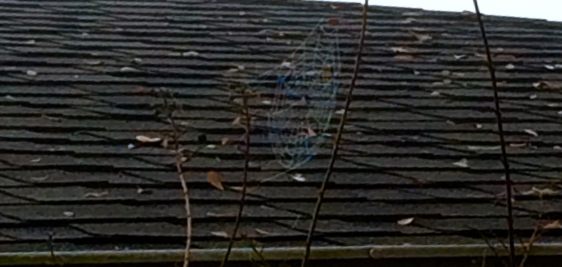 image by Rebekah Choat