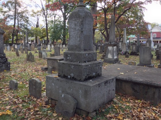 image by Rebekah Choat 