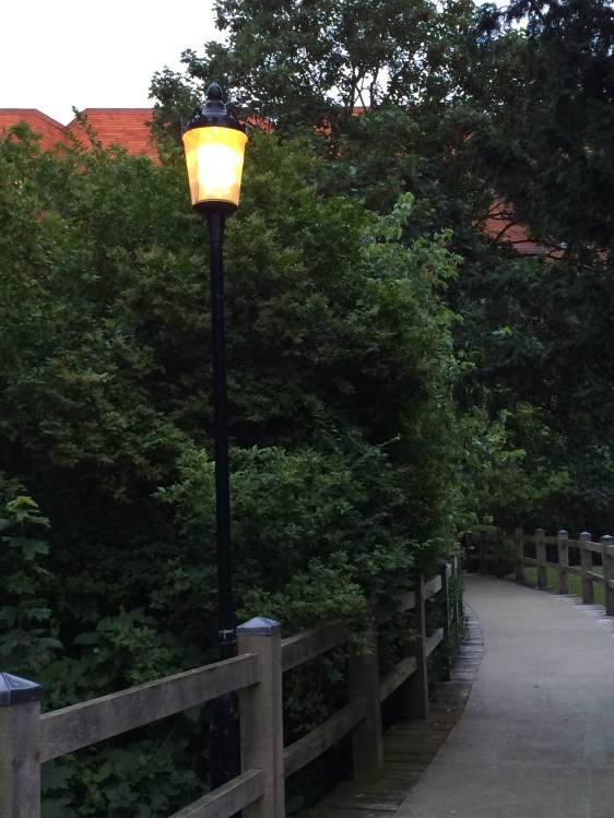 image by Rebekah Choat