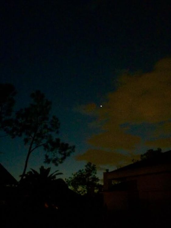 image by Rebekah Choat