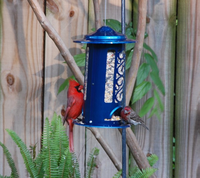 image by Rebekah Choat