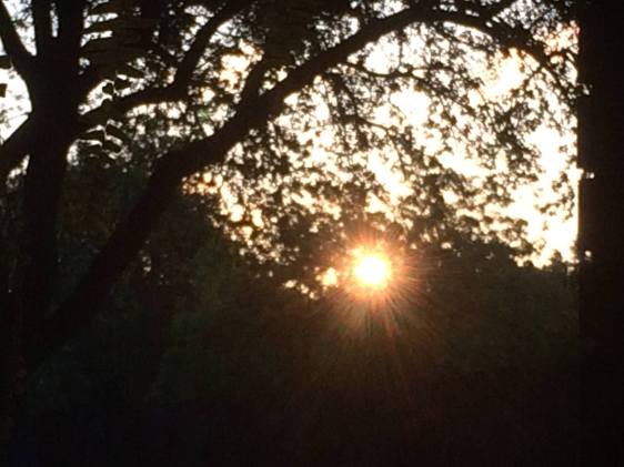 image by Rebekah Choat 