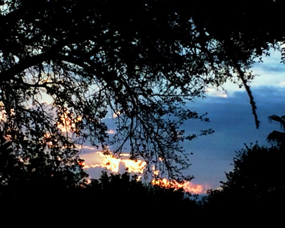 image by Rebekah Choat