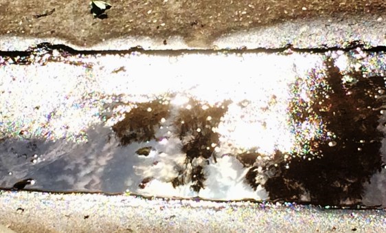 image by Rebekah Choat 