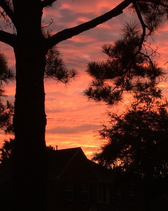 image by Rebekah Choat