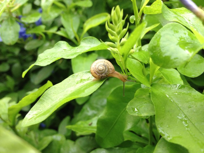 image by Rebekah Choat 