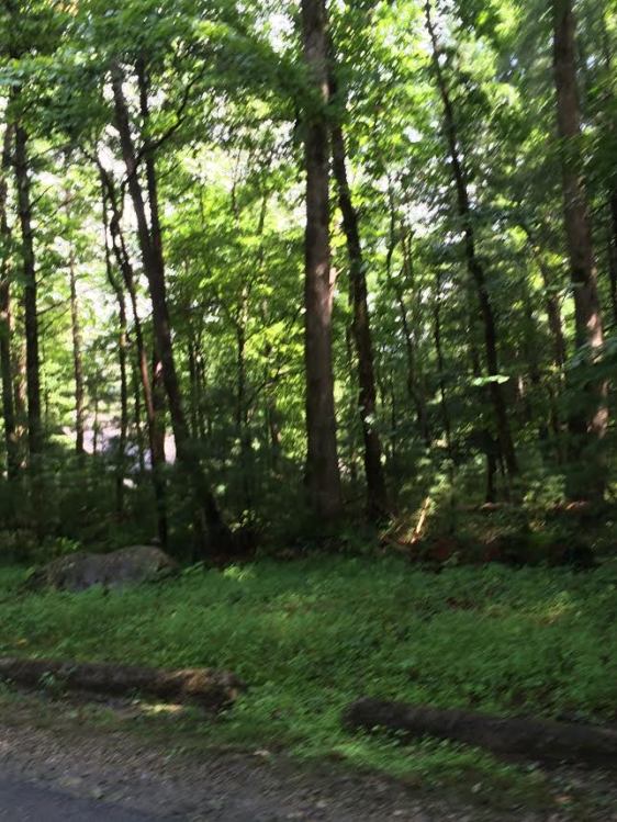 image by Rebekah Choat