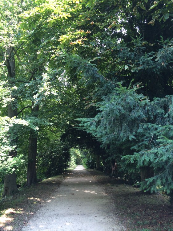 image by Rebekah Choat 