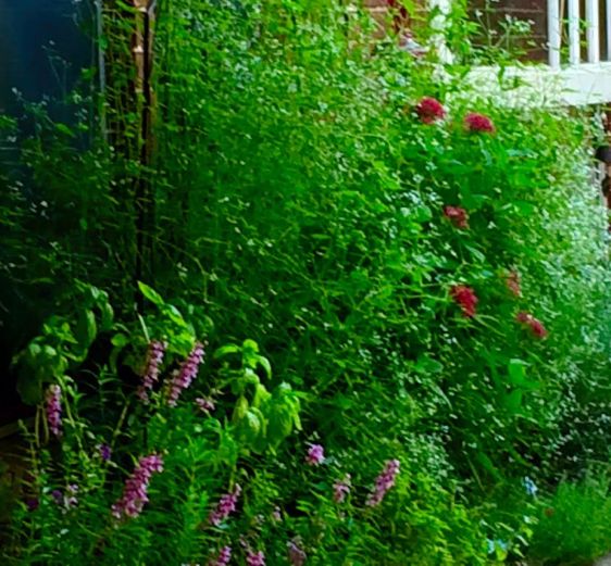 image by Rebekah Choat