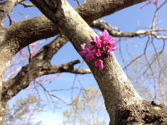 2014-03-20 17.04.12-1