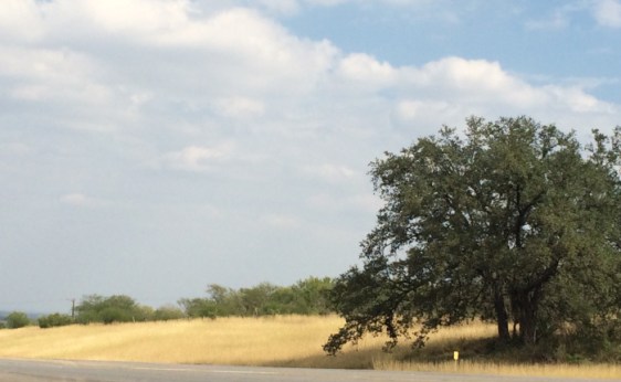 Image by Becka Choat